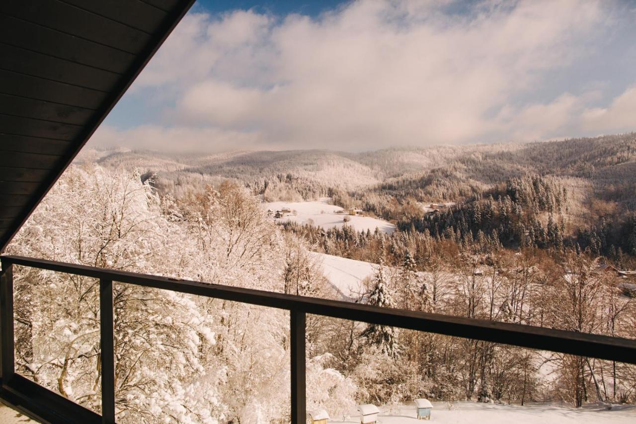 Apartamenty 'Okno Z Widokiem' Wisła Exterior foto